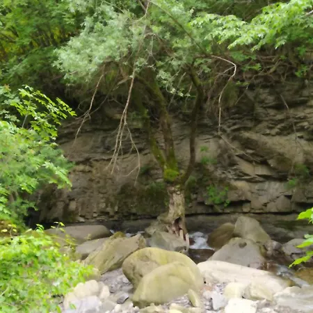 Rivarola 法纳诺