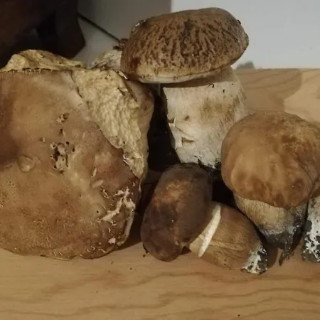 Holiday home Rivarola *