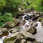 Rivarola