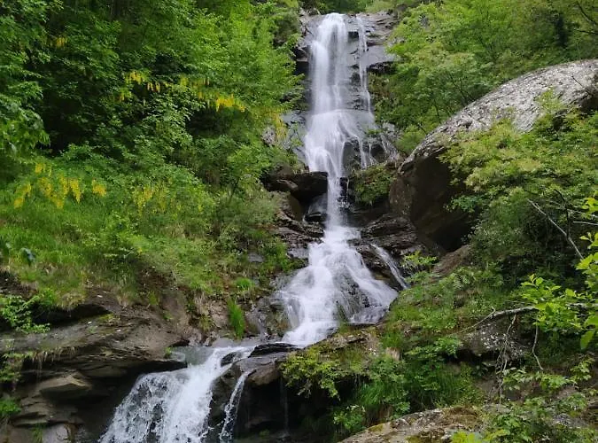 Rivarola * فانانو