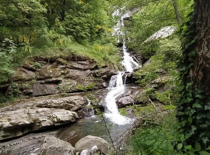 펜션 Rivarola 파나노